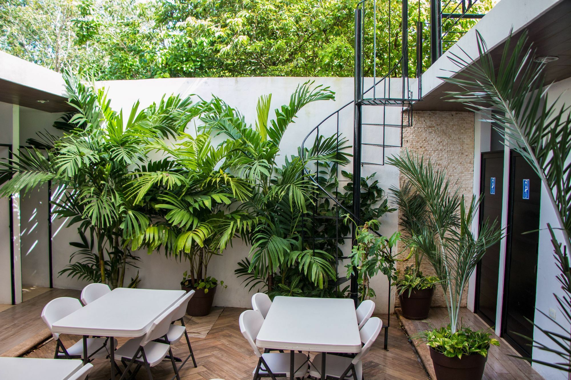 Hostal Gayser Valladolid  Ngoại thất bức ảnh
